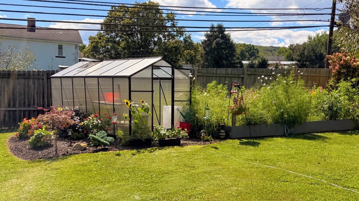 A 6 by 12 greenhouse beside a butterfly garden, sharp bed edges, and a mowed lawn